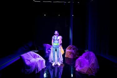 Planet Lubunya image 2